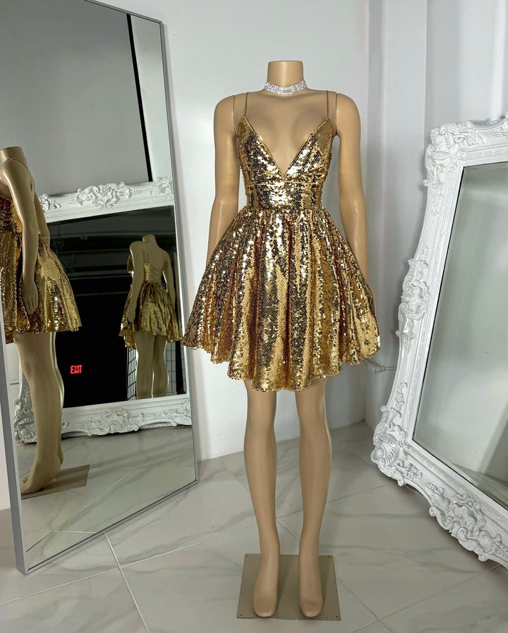 The Goldie Sequin Dress